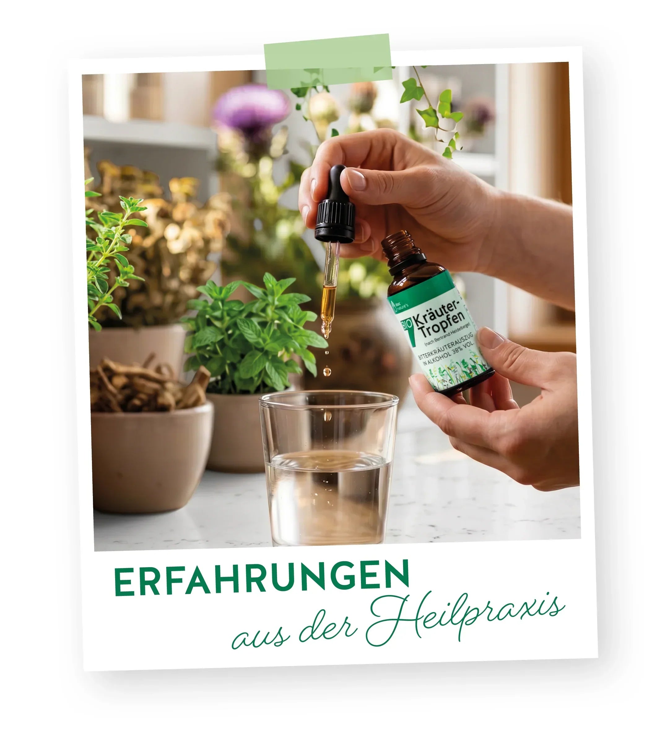 Der Einsatz von Bitterstoffen in der Heilpraxis