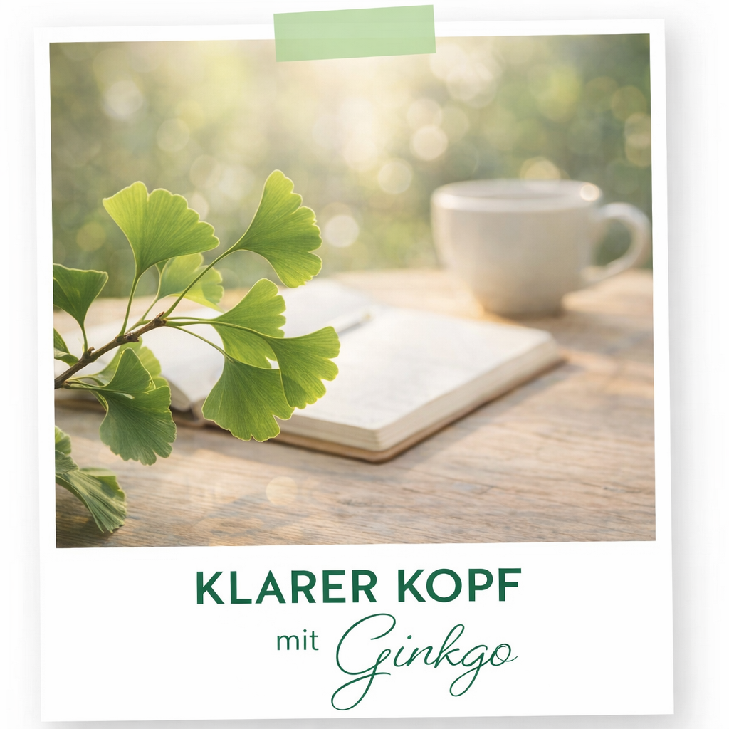 Ginkgo - der Baum der hunderttausend Blätter