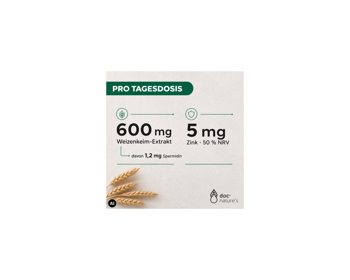 Spermidin Plus Zink Kapseln - Für Zellgesundheit & aktives Altern