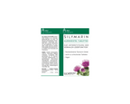 Silymarin Mariendistel-Tabletten - Zur Unterstützung einer gesunden Leberfunktion