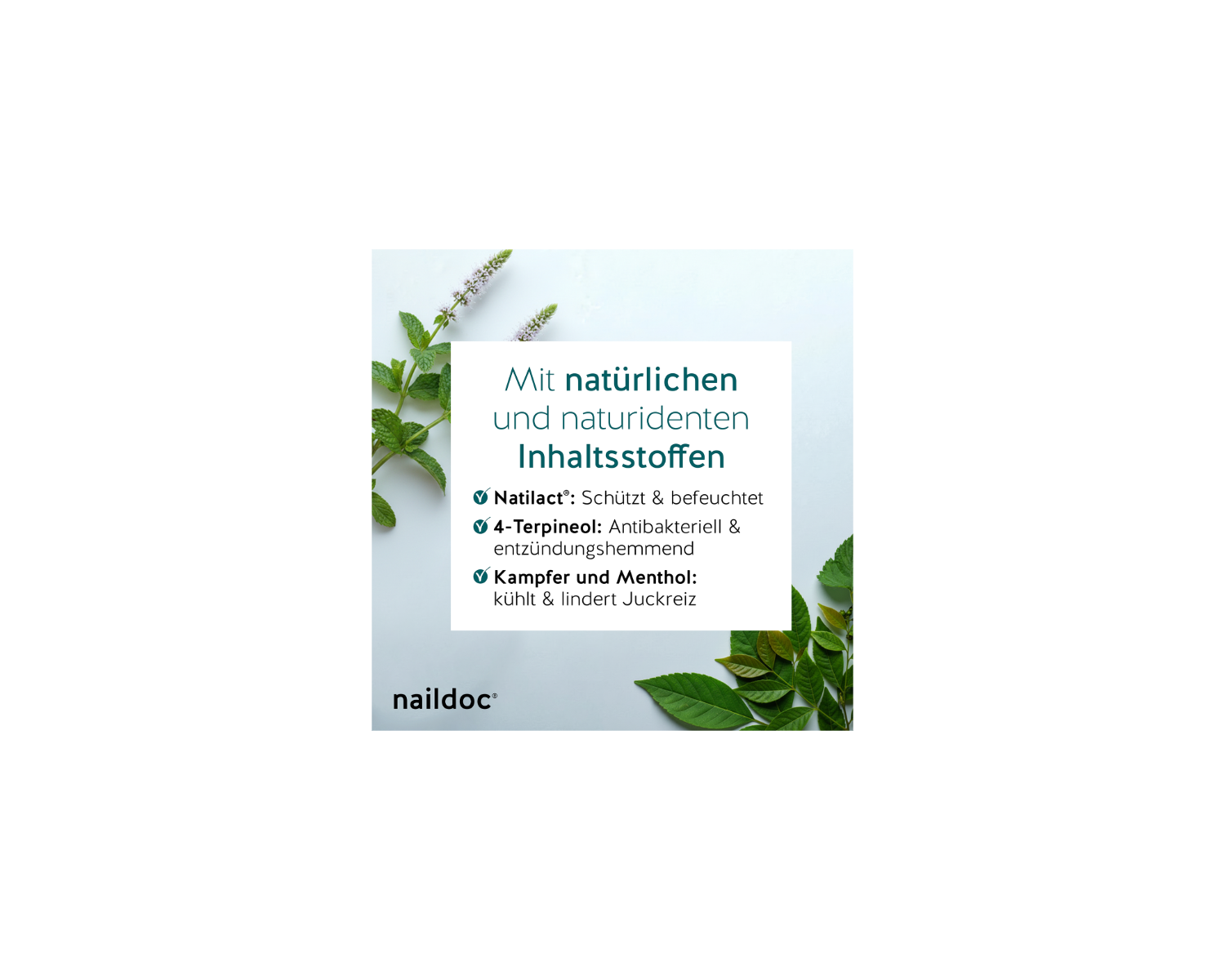 naildoc® +Foot Fußpilz Spray, 25 ml