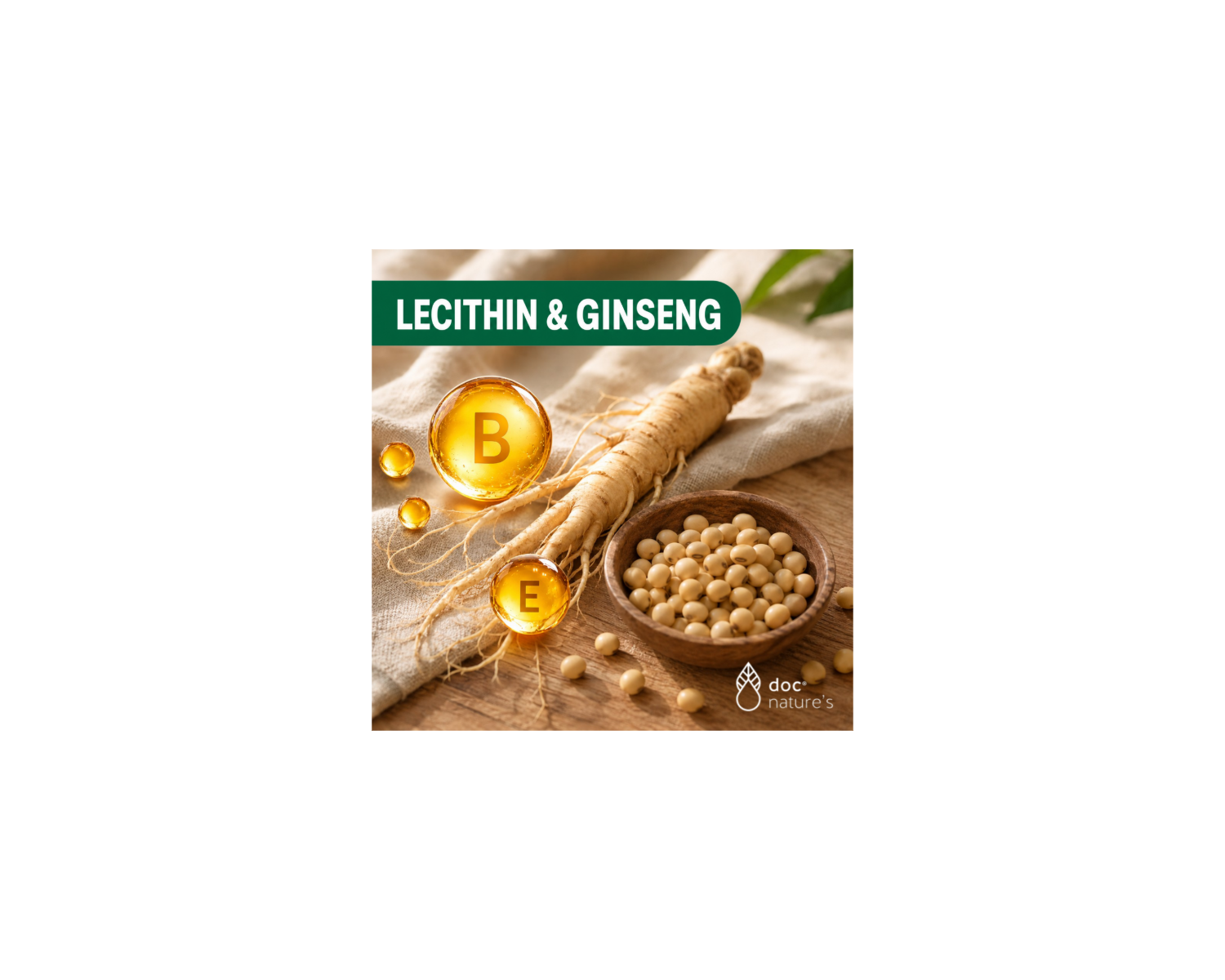 Lecithin Ginseng Tonikum - Mit Ginseng & Lecithin für Energie, Fokus & mentale Stärke, 500 ml