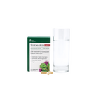 SILYMARIN FORTE+ MARIENDISTEL KAPSELN