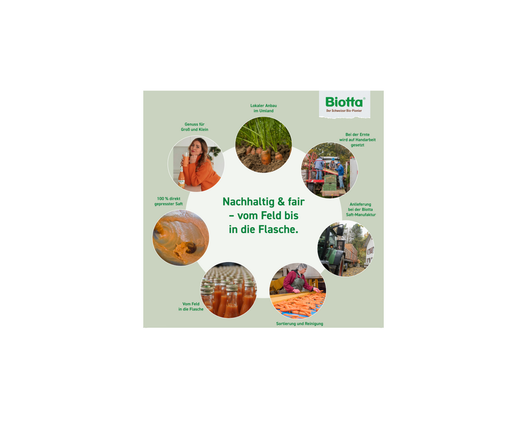 Biotta Reset Woche BIO Saft und Suppen Paket