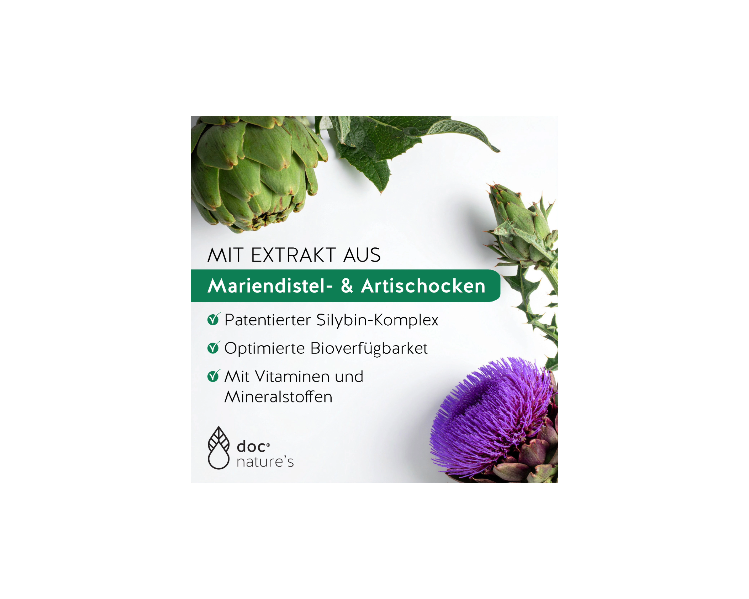 SILYMARIN FORTE+ MARIENDISTEL KAPSELN