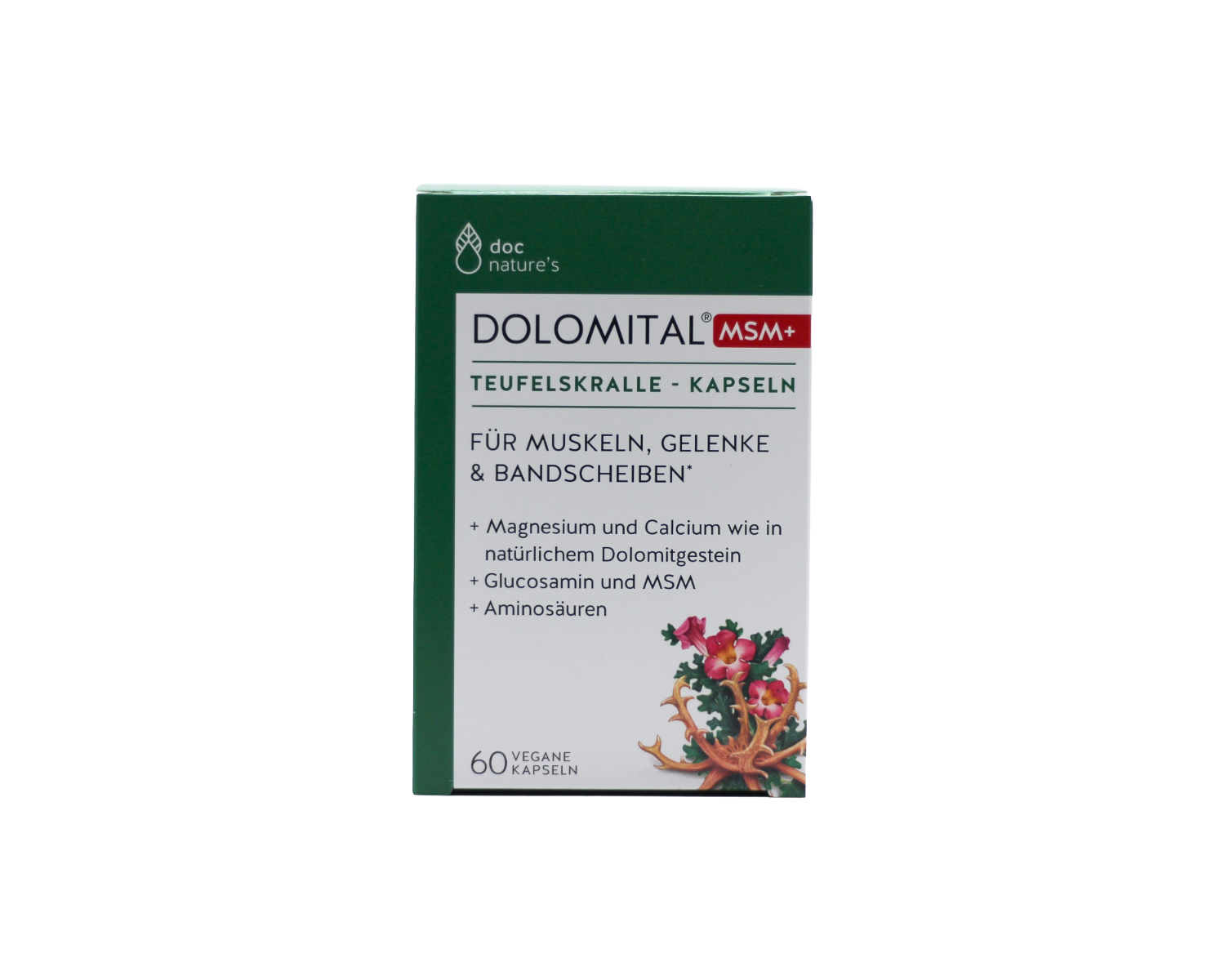 DOLOMITAL® MSM+